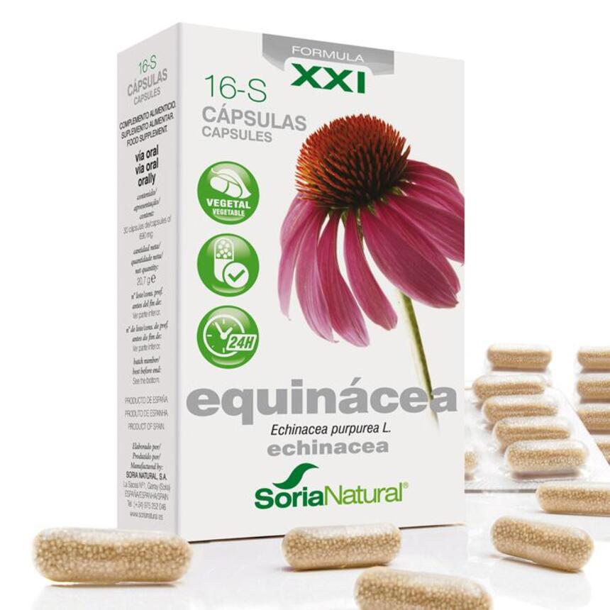 16- S Equinacea_soria_natural 16-S Equinácea | 30 Cápsulas - Soria Natural - Image 1