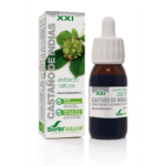 Extrato Castanha da India | 50 ml - Soria Natural