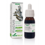 Extrato Fucus | 50 ml - Soria Natural