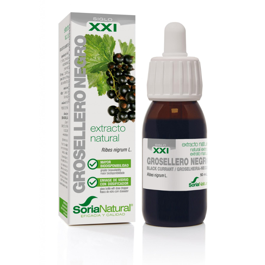 Cópia de Design sem nome - 2023-12-29T192637.446 Extrato Groselheira Negra | 50 ml - Soria Natural - Image 1