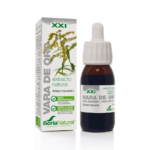 Extrato Vara de Ouro | 50 ml - Soria Natural