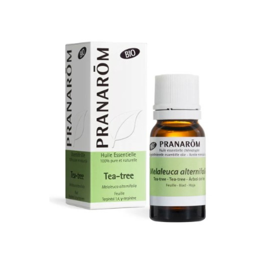 Produtos (37) Óleo Essencial Melaleuca (Árvore do Chá) Bio | 10ml - Pranarom - Image 1