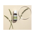 Óleo Essencial Lavanda Verdadeira Bio | 10ml - Pranarom - Image 2